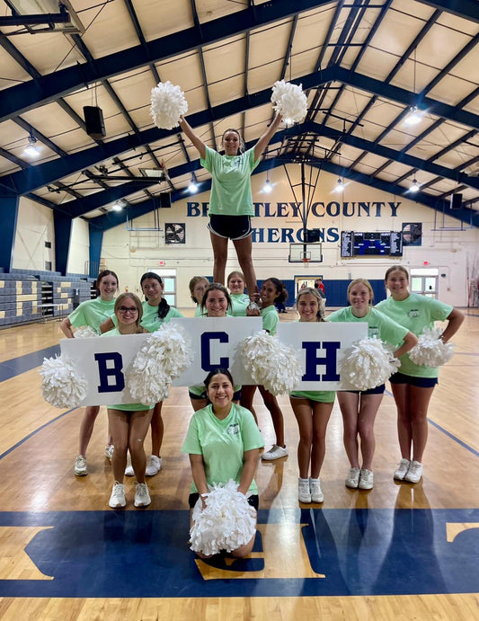 Photo of the Brantley County High School Cheerteam